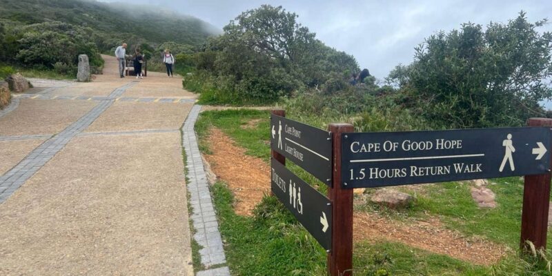 Private Tour to Discover Cape of Good Hope & Boulders Beach - Good To Know