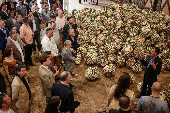 Private Tour to Distillery Tequila Ocho and Arandas - Introduction: What Makes This Tour Stand Out