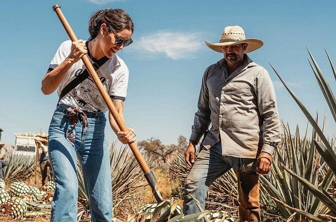 Private Tour to Distillery Tequila Ocho and Arandas - Value and Pricing Analysis