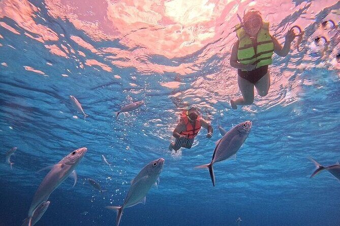 Private Tour to El Cielo and El Cielito and Palancar Cozumel - FAQ