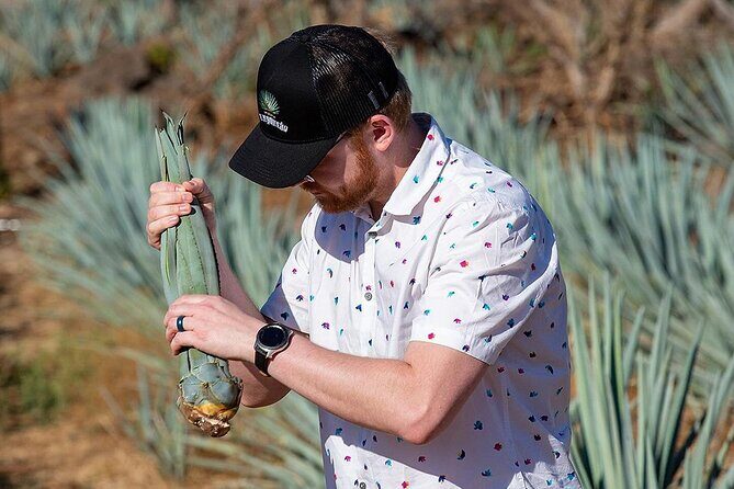 Private Tour to El Tequileño Distillery and visit to Tequila - FAQs