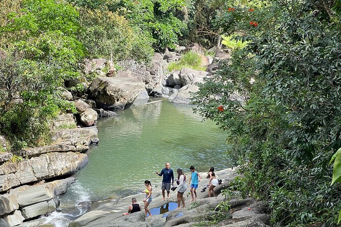 Private Tour to El Yunque Rainforest or Natural Mar Chiquita - El Yunque Rainforest