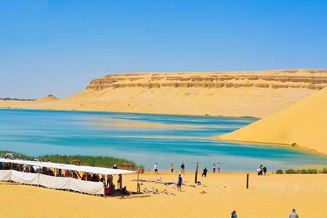 Private Tour to Fayoum Oasis, Valley of the Whales & Wadi Al Rian From Cairo. - Traveler Reviews and Ratings