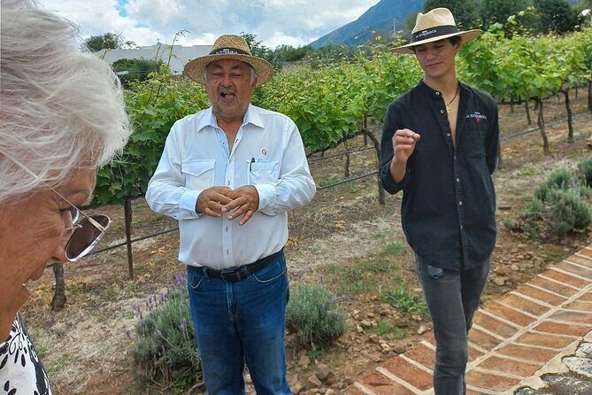 Private Tour to Finca Estramancia Vineyard and the Chapala Riviera - Real Traveler Insights
