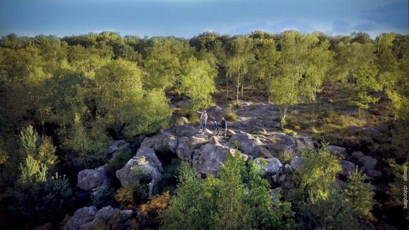 Private Tour to Fontainebleau From Paris. Tickets Included! - Key Points