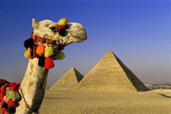 Private Tour to Giza Pyramids, Sphinx, Saqqara Pyramids & Memphis - Meeting and Pickup Details