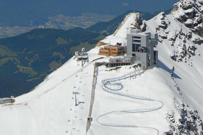 Private Tour to Glacier 3000 From Geneva - Accessibility Features