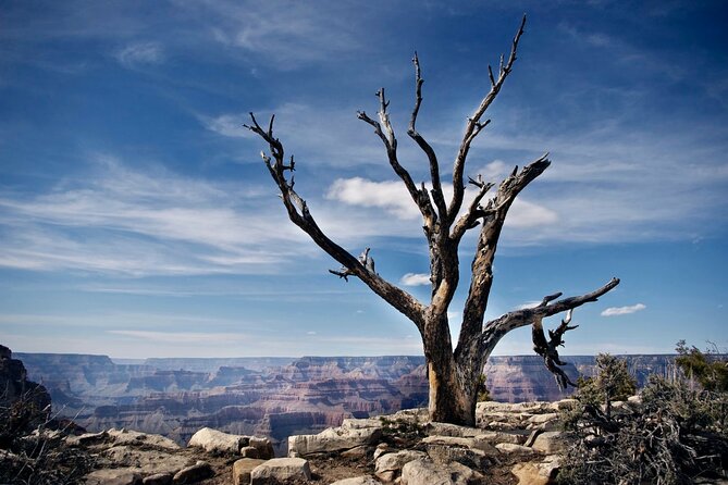 Private Tour to Grand Canyon From Las Vegas With Driver and Guide - Tips for a Memorable Grand Canyon Visit
