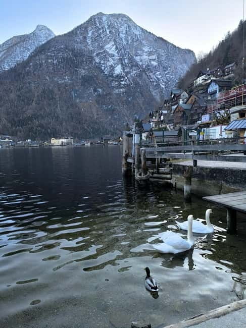 Private Tour to Hallstatt & Salzburg  Comfort and Elegance - The Sum Up: Why Choose This Tour?
