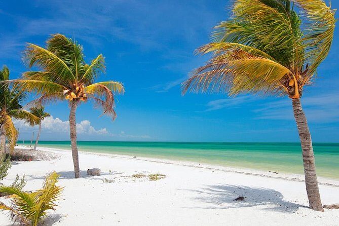 Private Tour To Holbox From Cancun - Who Will Love This Tour?