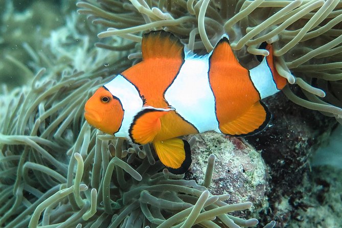 Private Tour to Hong Islands & 4 Islands With Sunset & Night Snorkel - Cancellation and Refund Policy