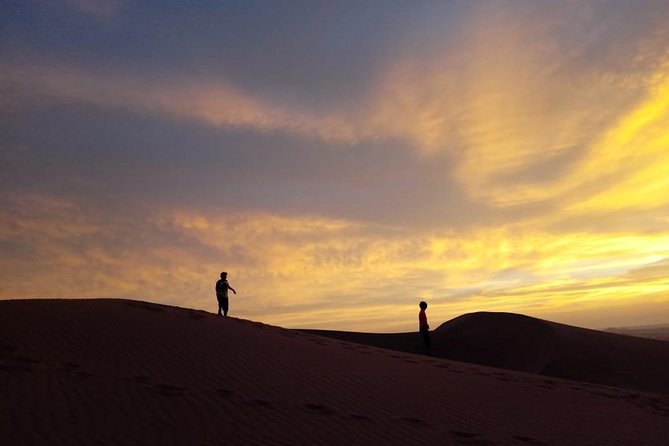 Private Tour to Huacachina From Paracas - Customer Reviews