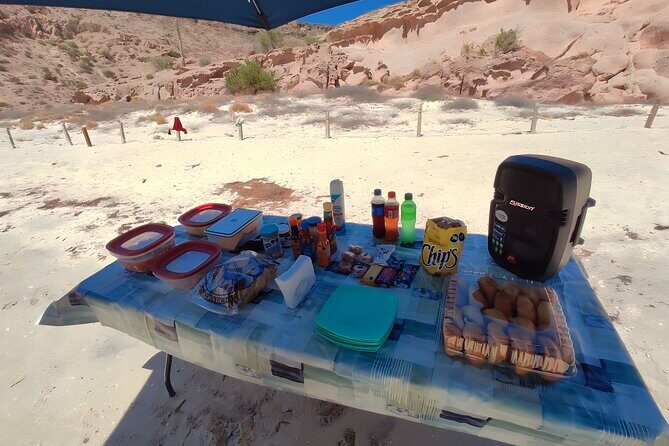 Private Tour to Isla Espiritu Santo and snorkel with sea lions - The Practical Side: Logistics, Cost, and Suitability