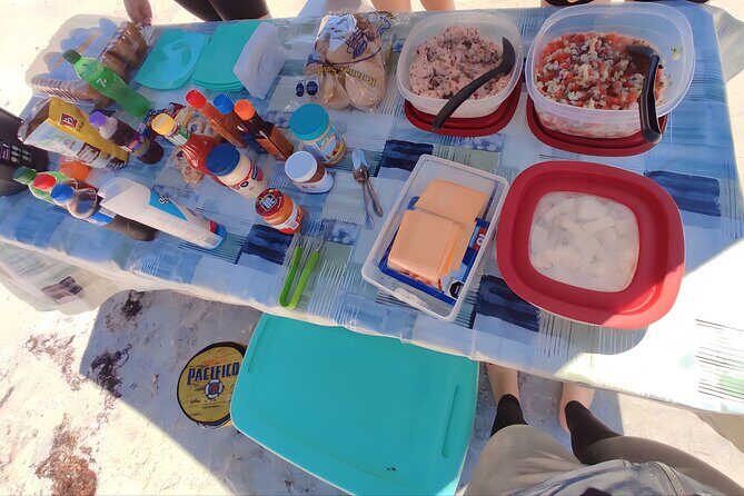 Private Tour to Isla Espiritu Santo and snorkel with sea lions - Final Thoughts