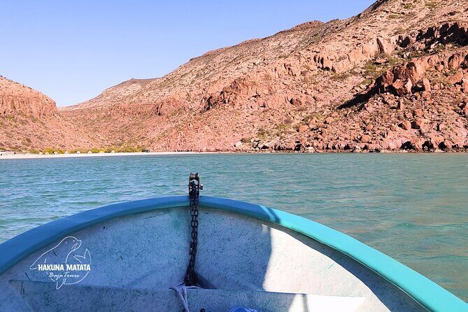 Private Tour to Isla Espiritu Santo and snorkel with sea lions - FAQ