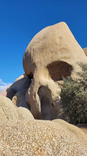Private tour to Joshua Tree National park from Los Angeles - The Convenience and Comfort of a Private Tour
