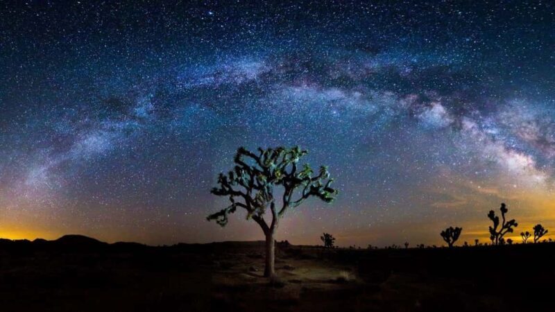 Private tour to Joshua Tree National park from Los Angeles - The Value Proposition
