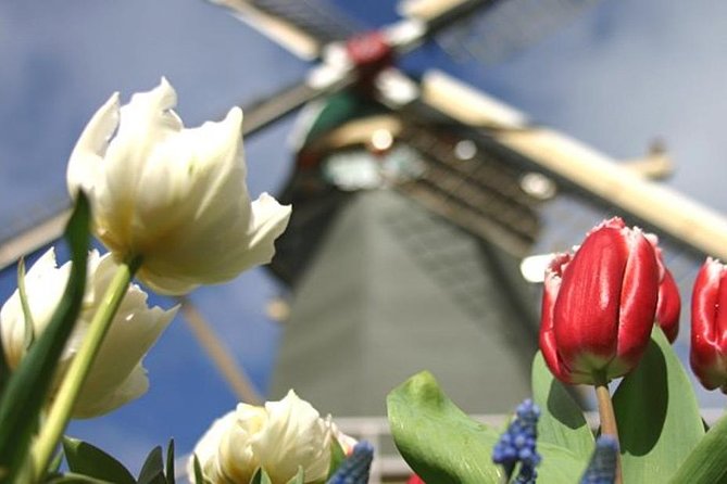 Private Tour to Keukenhof Gardens With Guide - Full Day Tour From Amsterdam - Traveler Experiences
