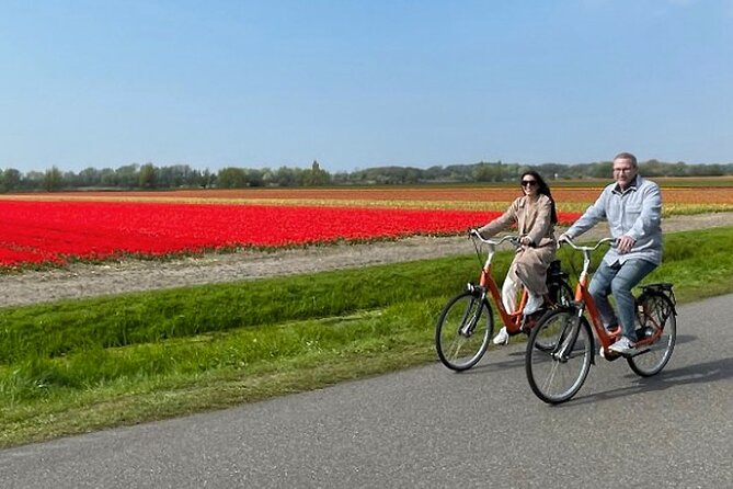 Private Tour to Keukenhof Gardens With Guide - Full Day Tour From Amsterdam - Picturesque Dutch Countryside