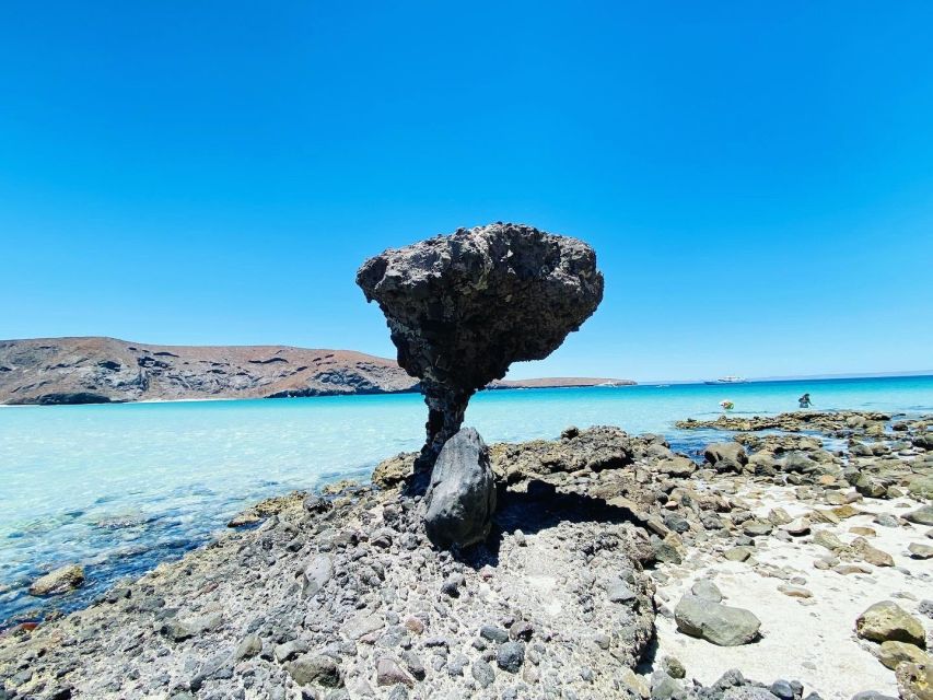 Private Tour to La Paz, Balandra and Todos Santos From CABO - Exploring Balandra Beach