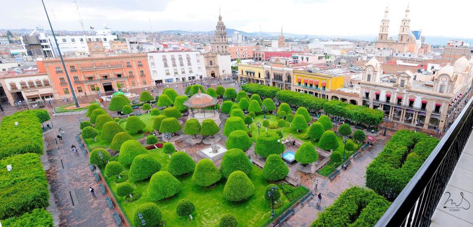 Private Tour to Leon From Guanajuato City - Main Cathedral