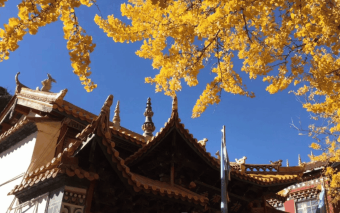 Private Tour to Lijiang Tiger Leaping Gorge& Lamaism Temple - Experience and Flexibility