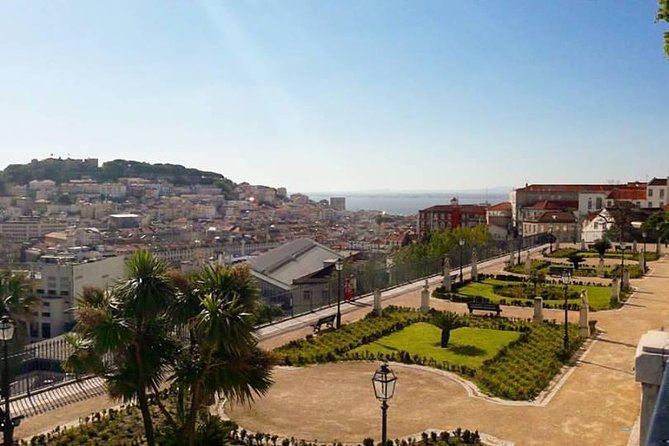 Private Tour to Lisbon Full Day - Traveler Experiences and Feedback