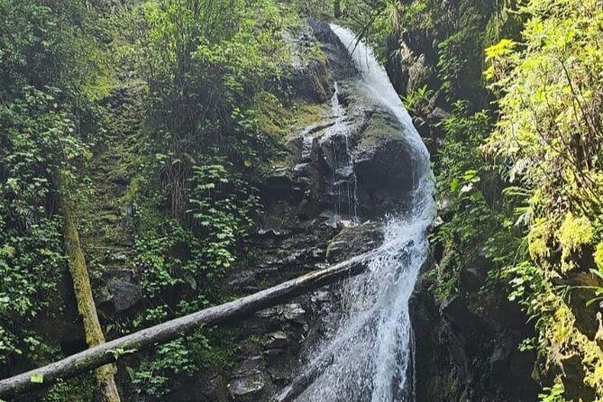 Private Tour to Los Diamantes Waterfall from CDMX - Pricing and Value