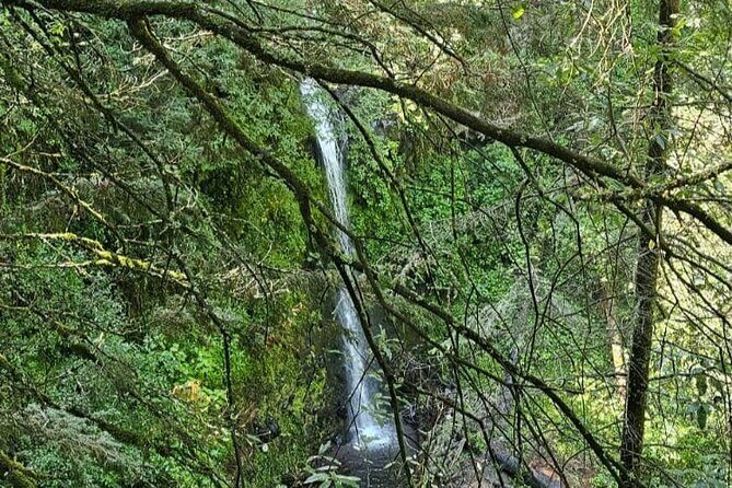 Private Tour to Los Diamantes Waterfall from CDMX - Who Will Love This Tour?