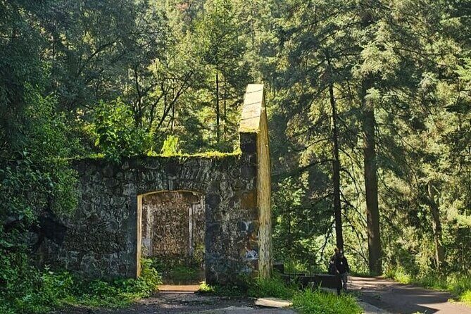 Private Tour to Los Diamantes Waterfall from CDMX - Final Thoughts