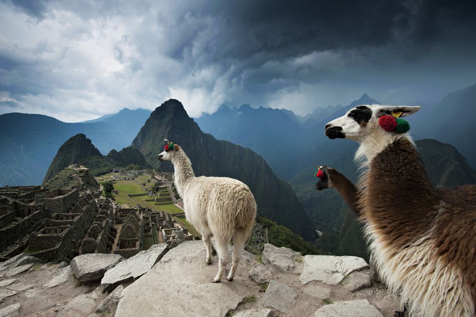 Private Tour to Machu Picchu From Cusco With Lunch - Free Time in Aguas Calientes