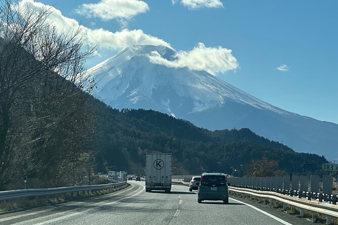 Private Tour to Mt Fuji and Hakone With English Speaking Driver - Inclusions