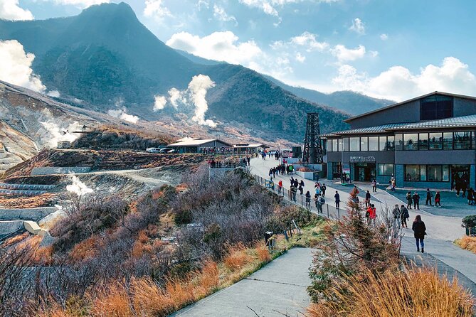 Private Tour to Mt Fuji and Hakone With English Speaking Driver - Policies