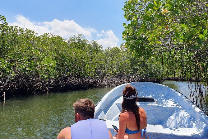 Private Tour to Paradise Island with Snorkel & Manatee Sanctuary - Discovering the Wonders of Paradise Island and Beyond