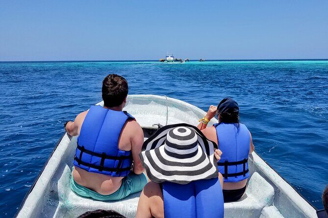 Private Tour to Paradise Island with Snorkel & Manatee Sanctuary - In The Sum Up