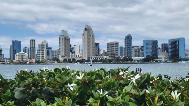 Private tour to San Diego from Los Angeles - Authentic Insights from Past Travelers