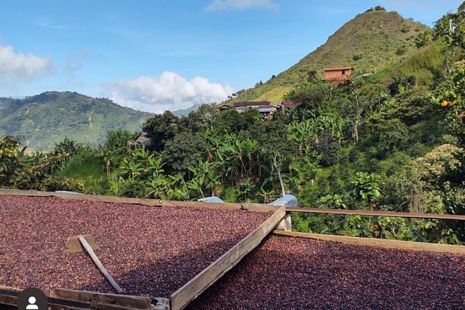 Private Tour to Santa Fe De Antioquia Town & Coffee Farm. - About Your Stay