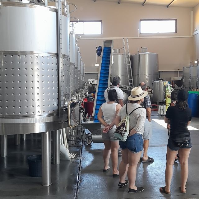 Private Tour to Silves Castle Whith Algarvian Wine Tasting - A Close Look at the Itinerary and What You’ll Experience