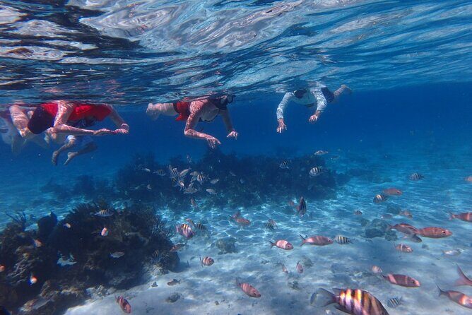 Private Tour to Stingray City & Snorkeling at Coral Gardens - Why Choose a Private Tour?