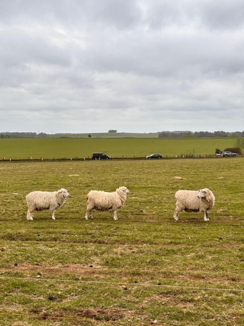 Private Tour to Stonehenge, Bath and The Cotswolds - Customer Experience
