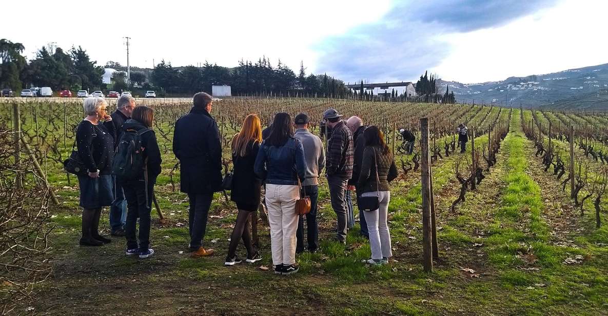 Private Tour to Stunning Douro Valley and Renowned Wineries - Quinta Da Roêda and Wine Tasting