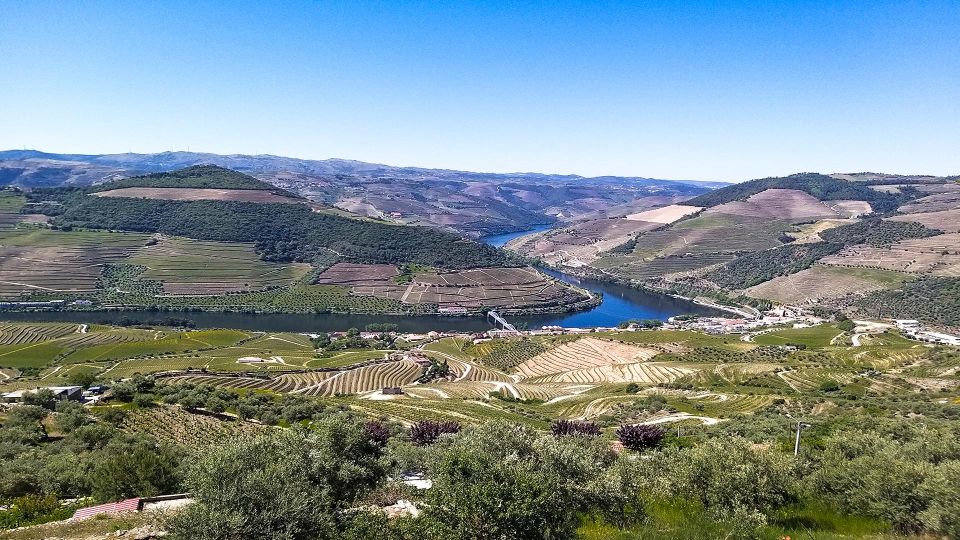 Private Tour to Stunning Douro Valley and Renowned Wineries - Quinta Do Seixo and Wine Tasting