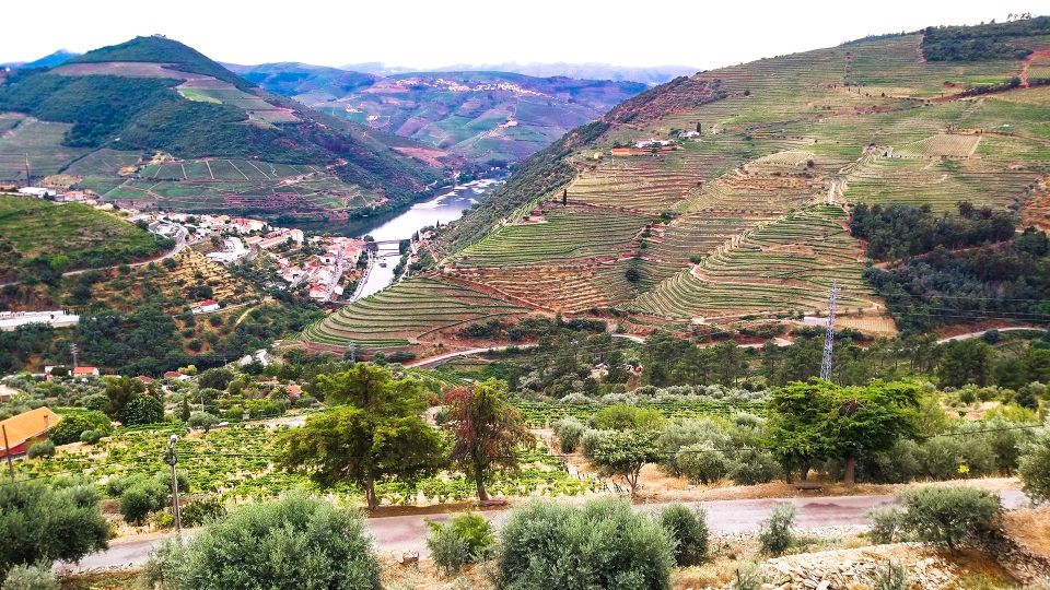 Private Tour to Stunning Douro Valley and Renowned Wineries - Ponte Rodoviaria Da Regua and Wildlife Viewing