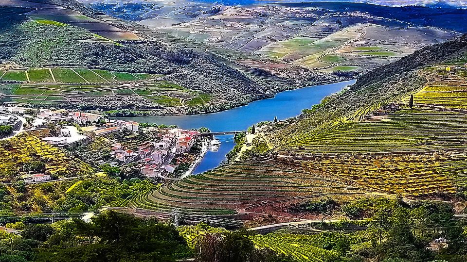 Private Tour to Stunning Douro Valley and Renowned Wineries - Inclusions and Exclusions