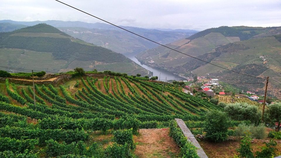 Private Tour to Stunning Douro Valley and Renowned Wineries - Customizable Tour Options