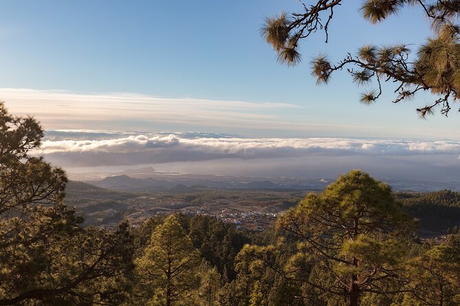 Private Tour to Teide in a Luxury Vehicle - Inclusions and Amenities