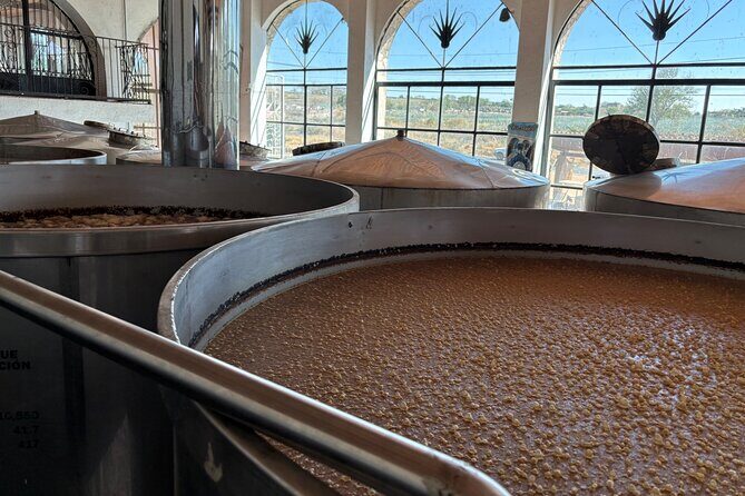 Private Tour to Tequila and Guachimontones - Transportation and Practical Details