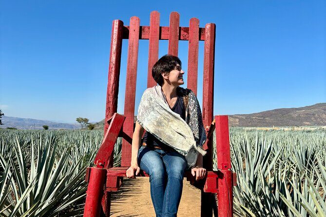 Private Tour to Tequila and Guachimontones - Considerations for Travelers