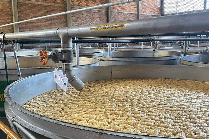 Private Tour to Tequila Distillery and Cantaritos and Celebration - Final Thoughts