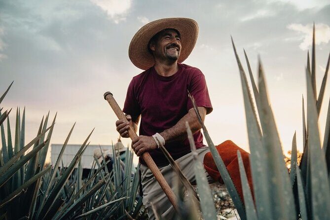 Private Tour to Tequila Ocho Distillery and the Town of Arandas - Key Points